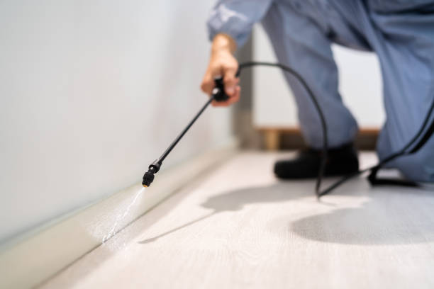 Licensed Pest Control service in Thompsonville, CT - Show Me Pest Control