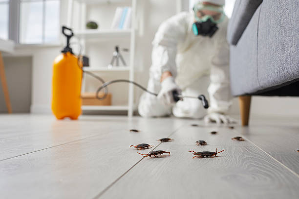 Commercial Rodent Management in Thompsonville
